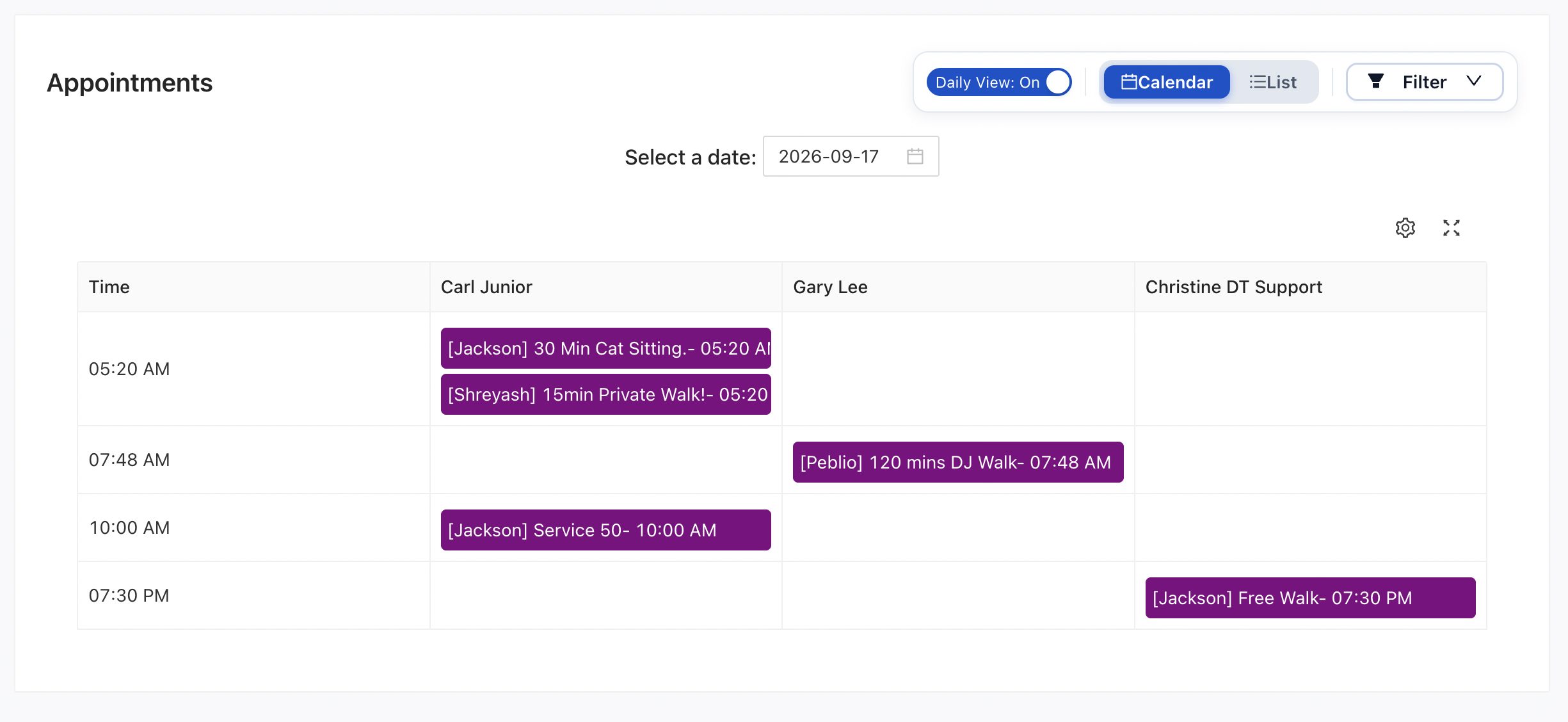 The DoTimely appointments calendar in daily view, with a column per staff member